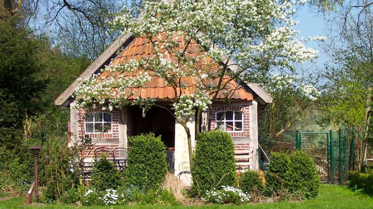 Backhaus Backhaus